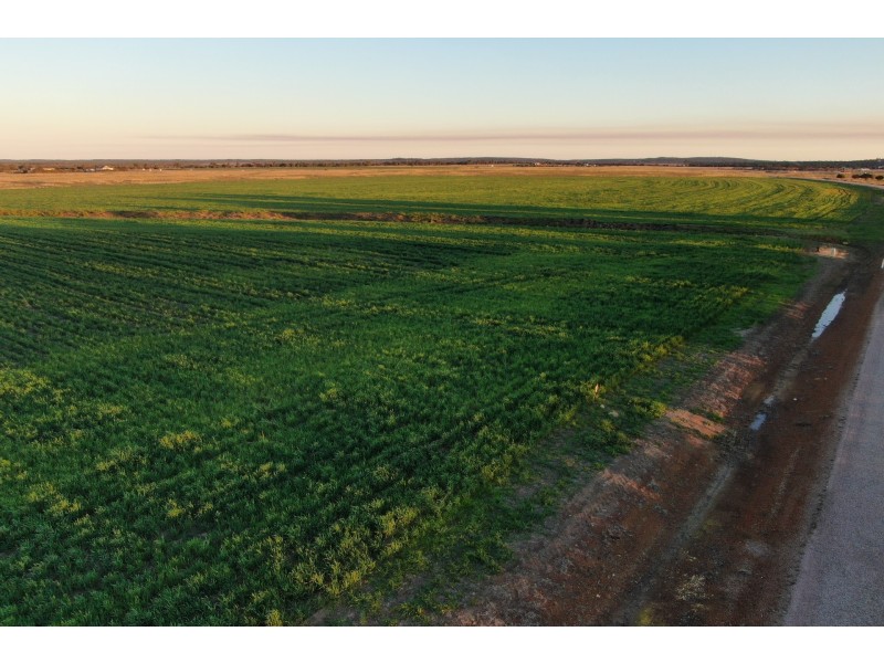 529 Verrucosa Parade, Hopetoun WA 6348