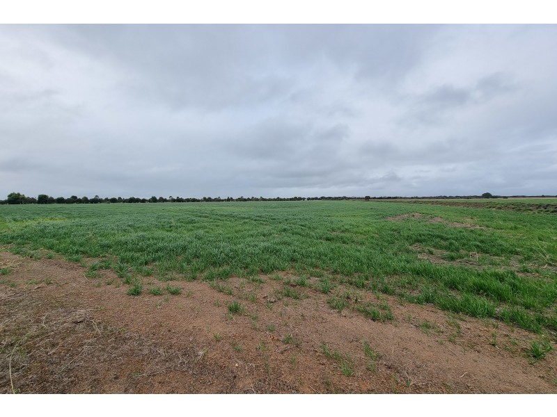 529 Verrucosa Parade, Hopetoun WA 6348