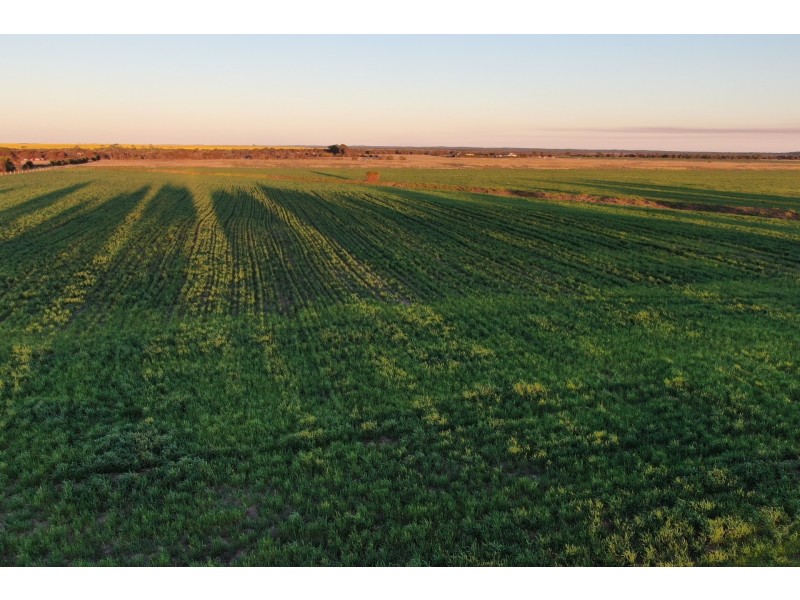 63 Verrucosa Parade, Hopetoun WA 6348