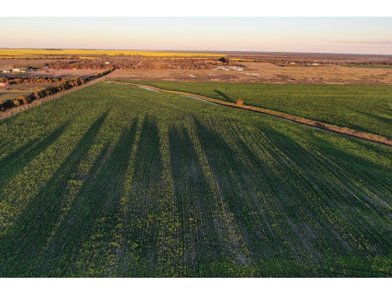 63 Verrucosa Parade, Hopetoun WA 6348