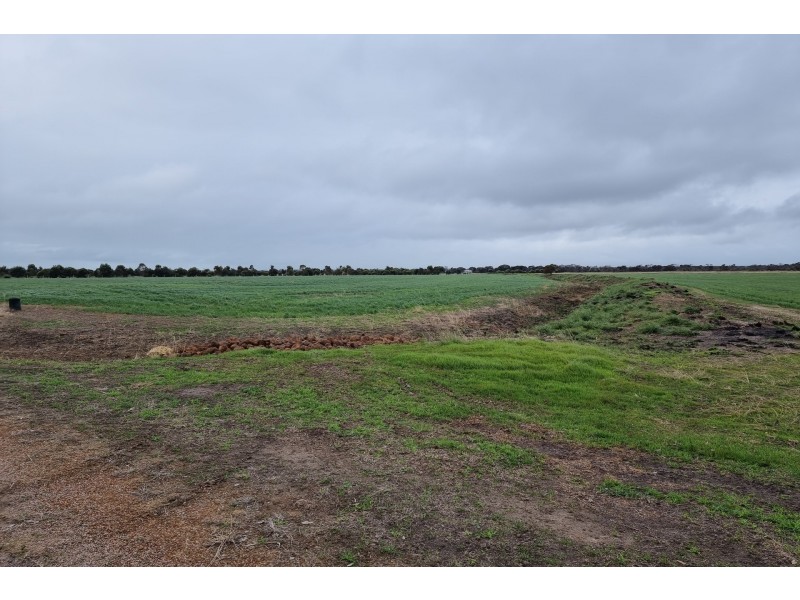 63 Verrucosa Parade, Hopetoun WA 6348