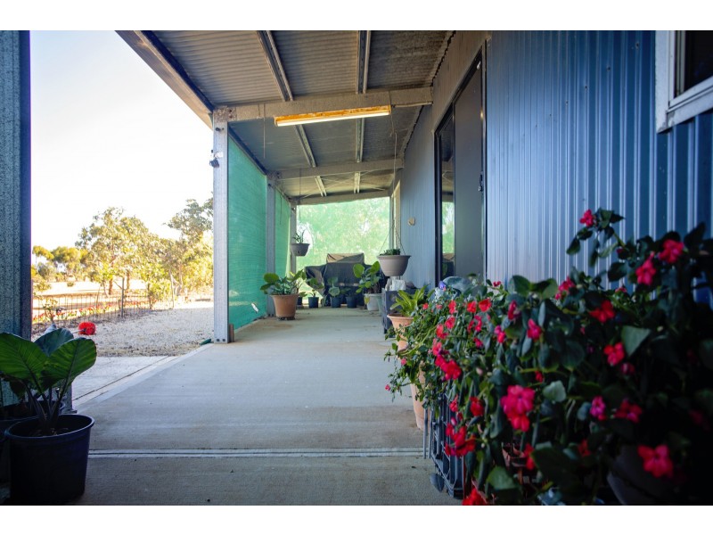 52 Verrucosa Parade, Hopetoun WA 6348