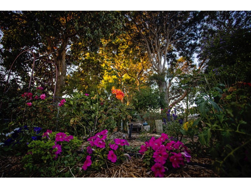 28 Raglan Street, Hopetoun WA 6348