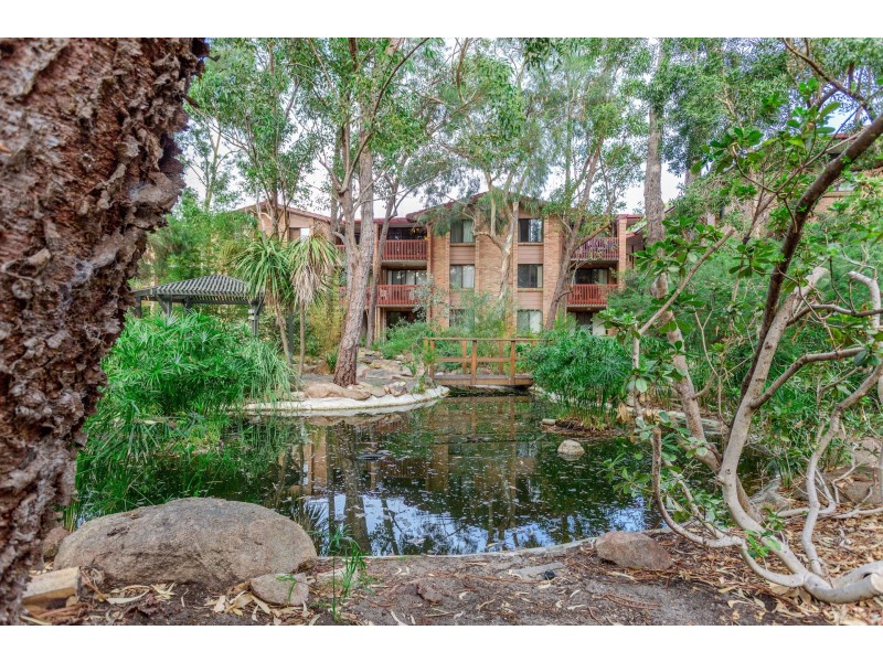 41/50 Moondine Drive, Wembley WA 6014