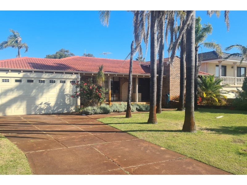 46 Whimbrel Street, Stirling WA 6021