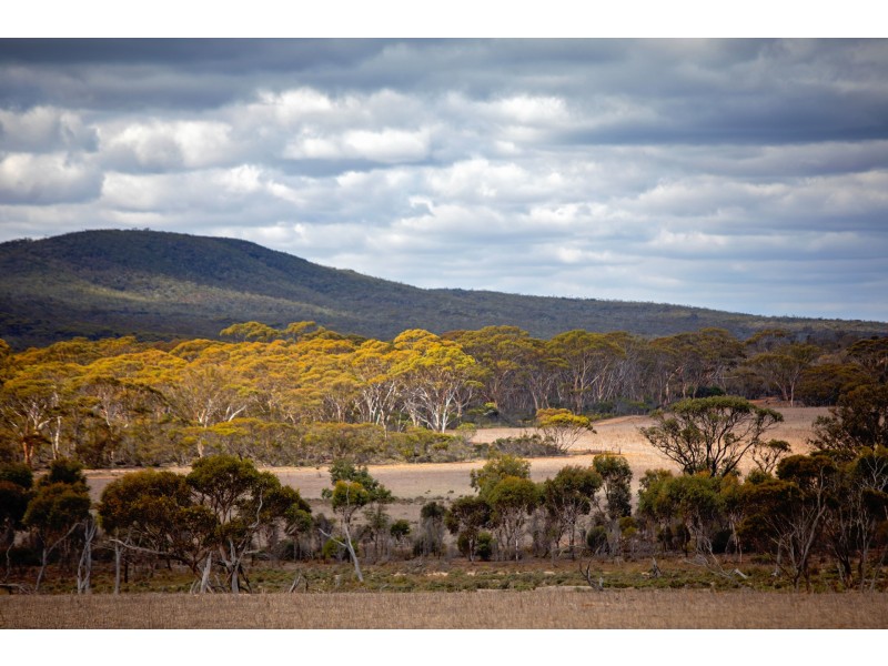 Lot 344/ Hopetoun-Ravensthorpe Road, Ravensthorpe WA 6346