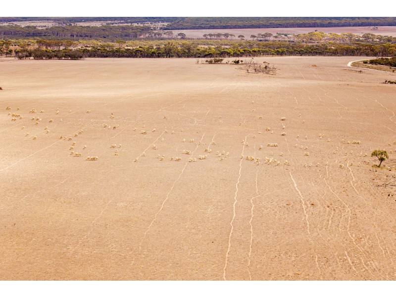 Lot 344/ Hopetoun-Ravensthorpe Road, Ravensthorpe WA 6346