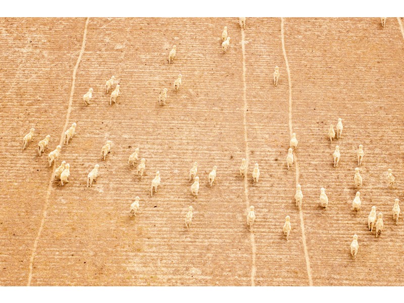 Lot 344/ Hopetoun-Ravensthorpe Road, Ravensthorpe WA 6346