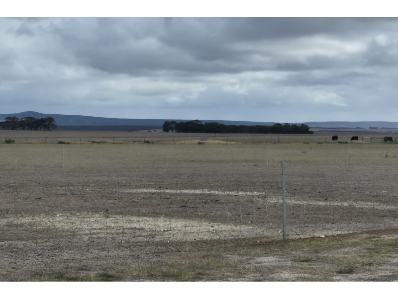 202 Steeredale Road, Hopetoun WA 6348