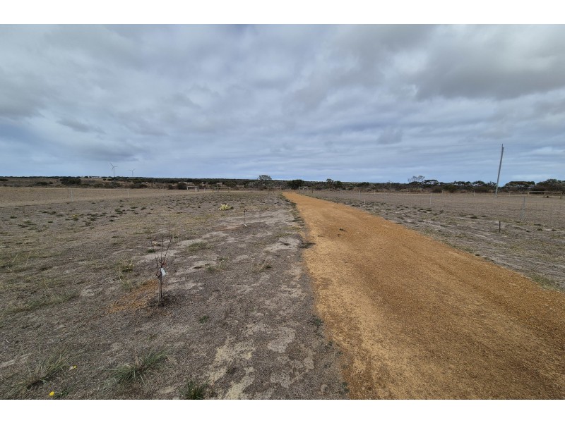 202 Steeredale Road, Hopetoun WA 6348