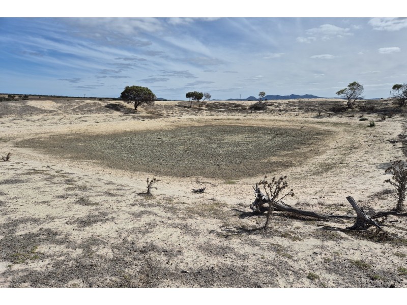 98 Steeredale Road, Hopetoun WA 6348