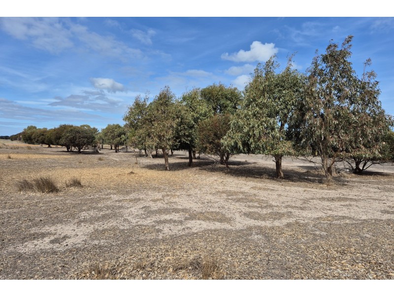 98 Steeredale Road, Hopetoun WA 6348