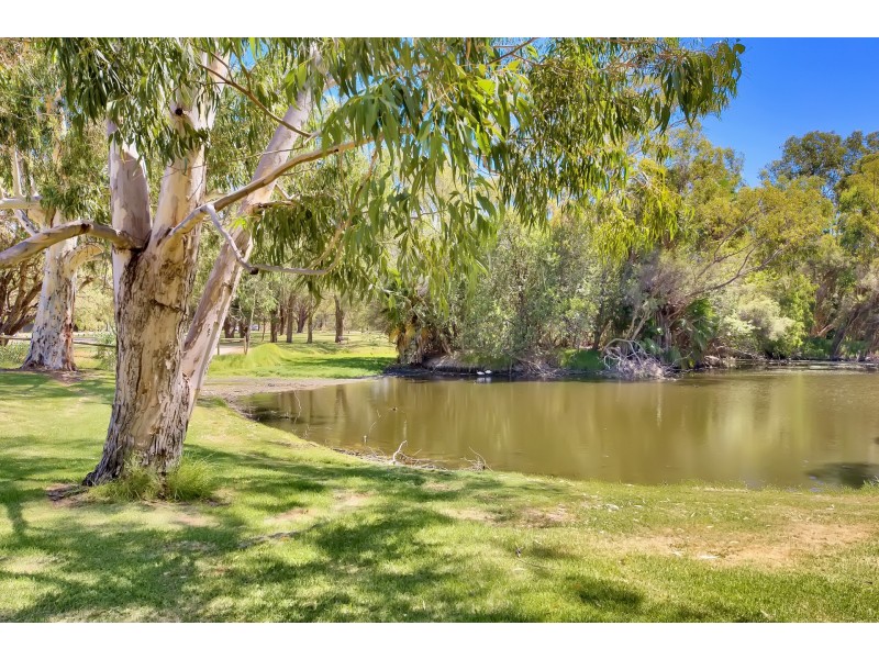 202E/25 Herdsman Parade, Wembley WA 6014