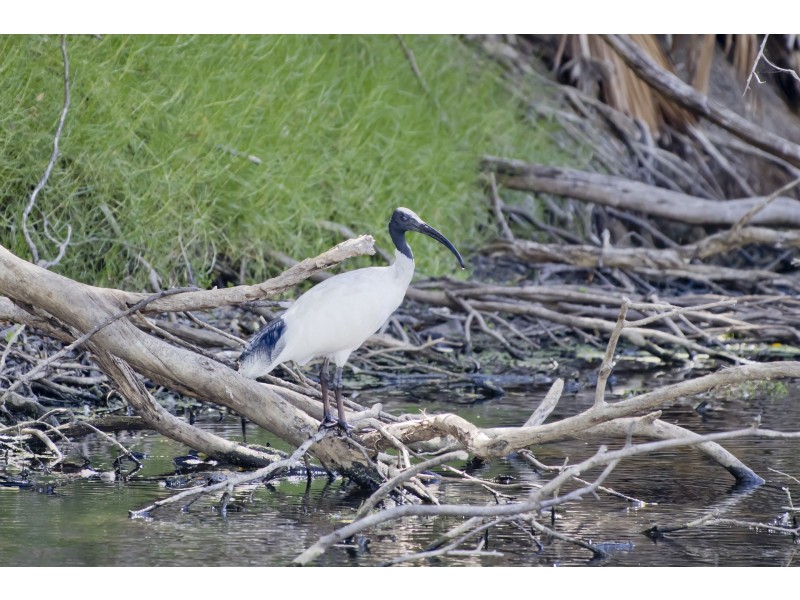 202E/25 Herdsman Parade, Wembley WA 6014