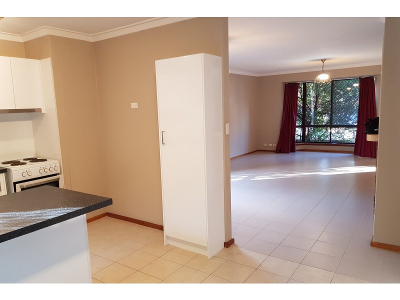 29 Windich Place, Leederville WA 6007