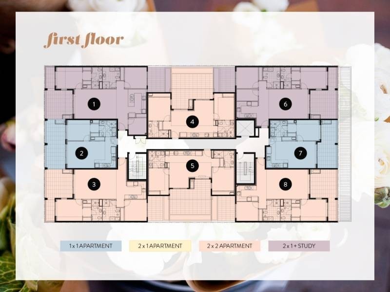 Level 1/3/23 Northwood Street, West Leederville WA 6007 Floorplan
