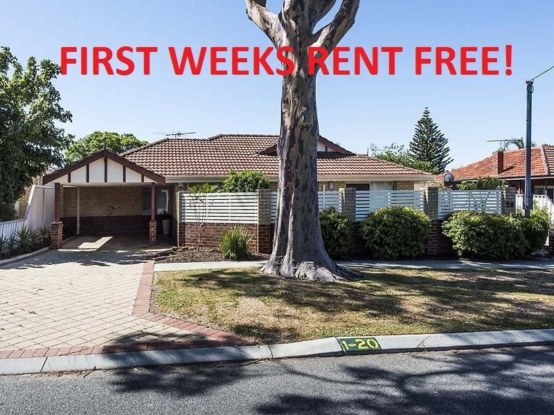 1/20 Birdwood Street, Innaloo WA 6018