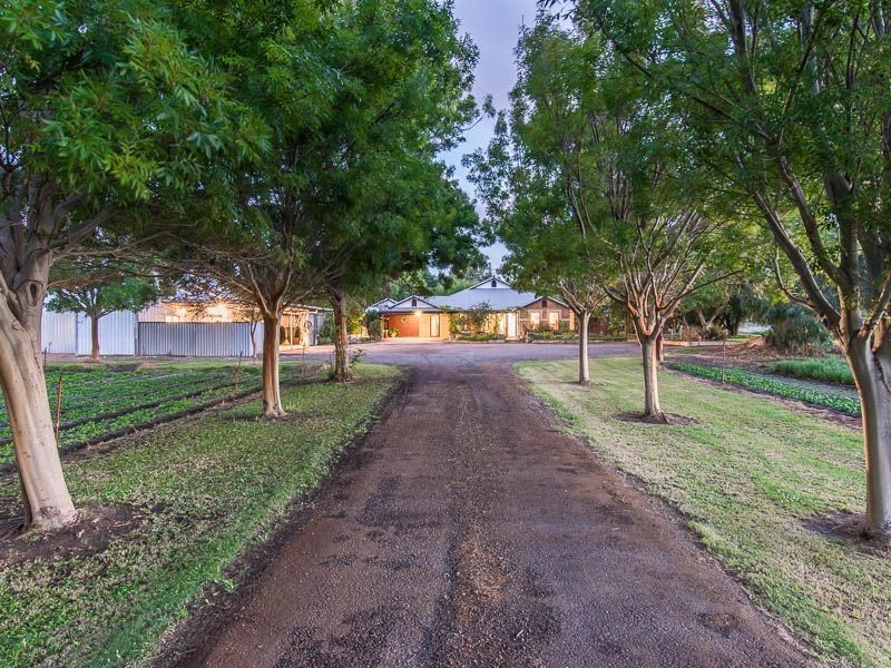 528 Russell Road, Wattleup WA 6166