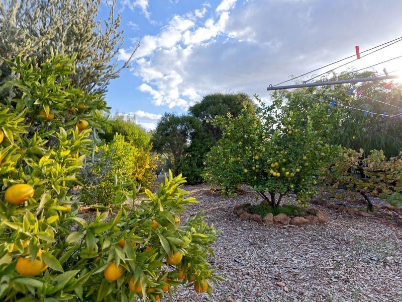 268 Marri Park Drive, Casuarina WA 6167