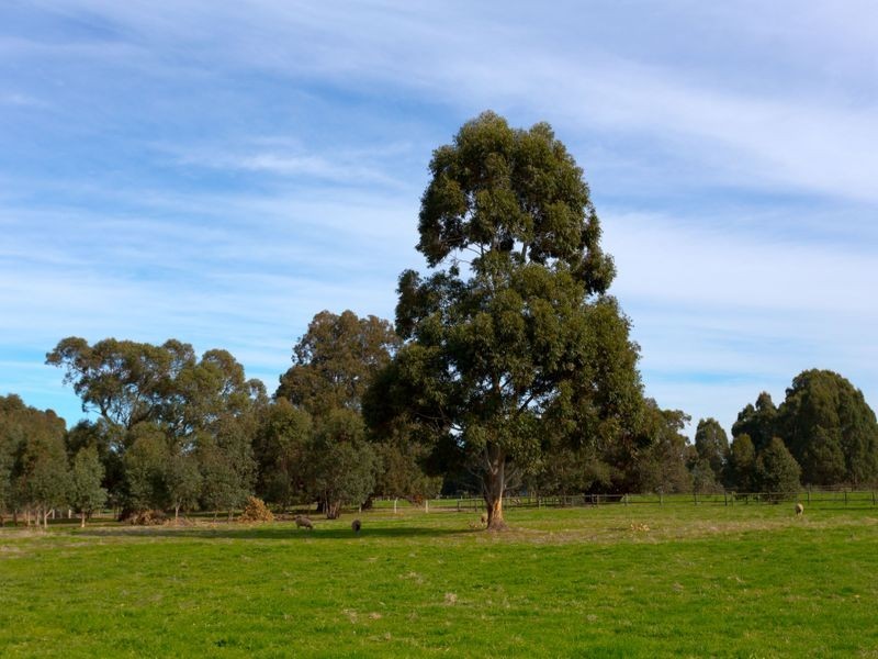 672 Hopkinson Road, Byford WA 6122