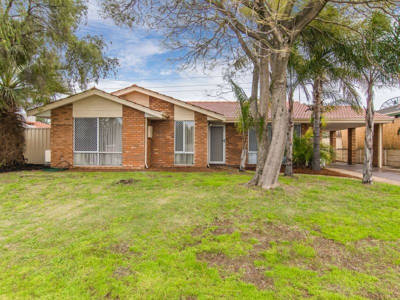 45 Dotterel Way, Yangebup WA 6164