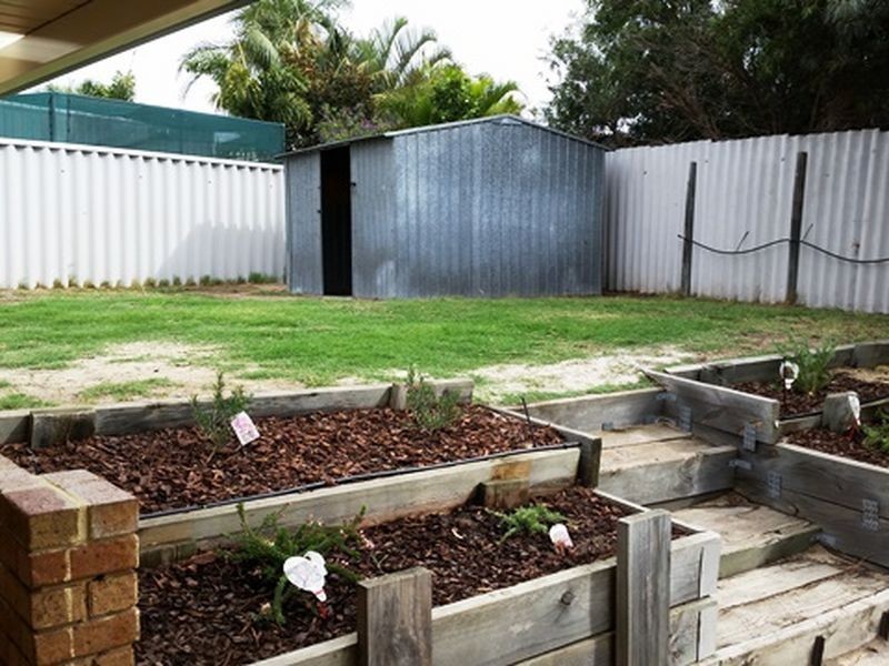 15 Larkspur Cross, Yangebup WA 6164