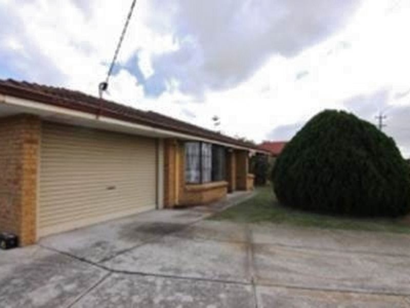 8 Rostrata Avenue, Willetton WA 6155