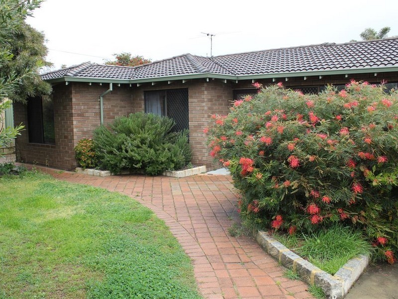 17 Osprey Drive, Yangebup WA 6164