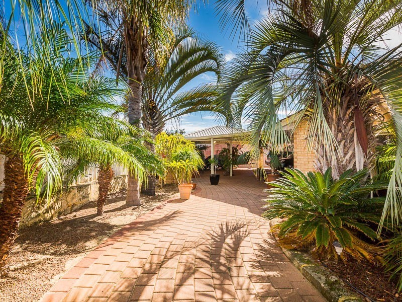 10 Cestrum Rise, South Lake WA 6164