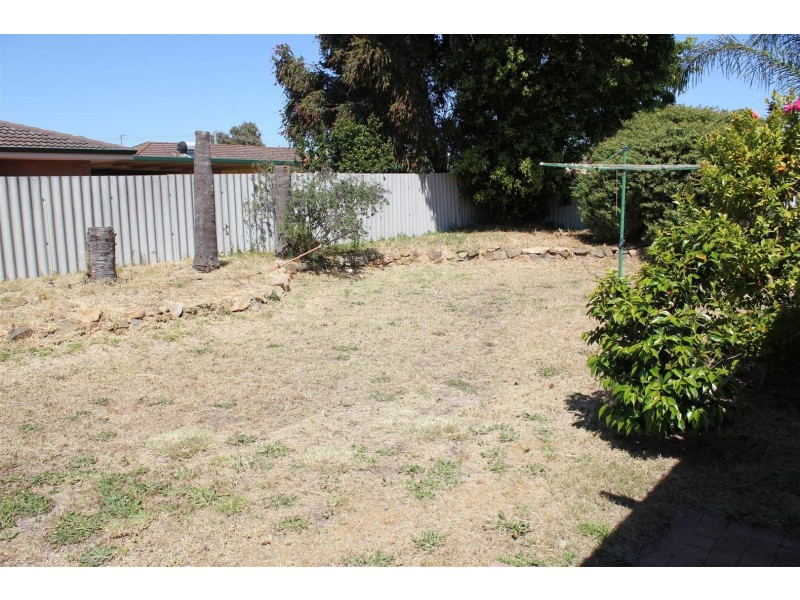 24 Strawberry Drive, Seville Grove WA 6112