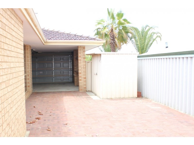 18 Torenia Way, Yangebup WA 6164