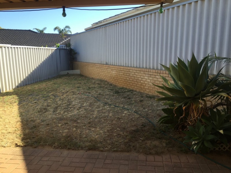 Villa 1/3 Mollica Court, Spearwood WA 6163