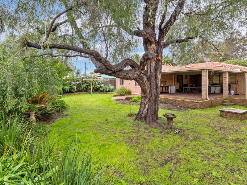 3 Holly Place, Willetton WA 6155