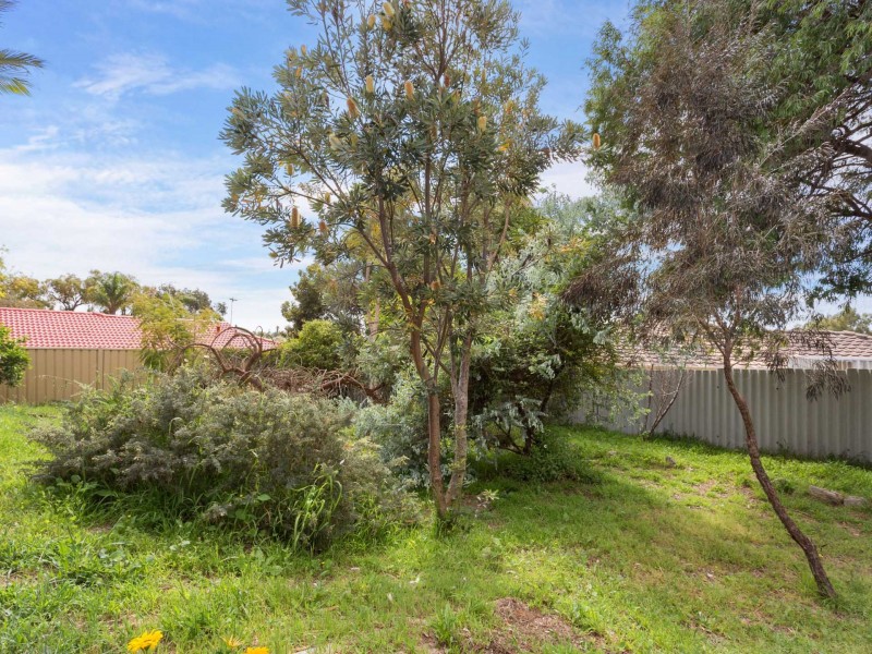 113 Plover Drive, Yangebup WA 6164