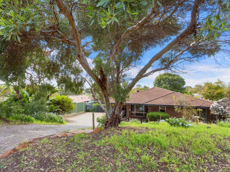 113 Plover Drive, Yangebup WA 6164