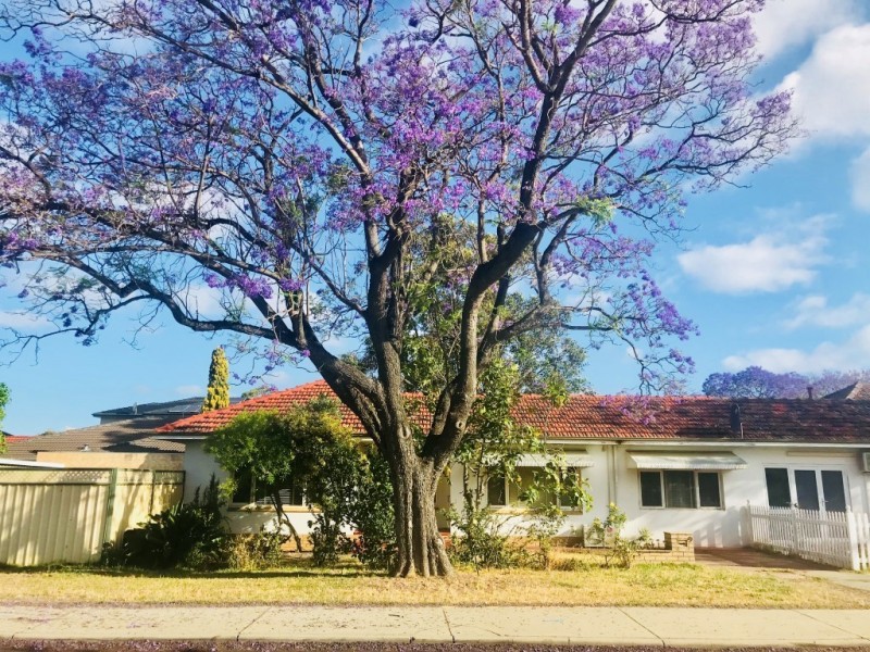 9 Macrae Road, Applecross WA 6153