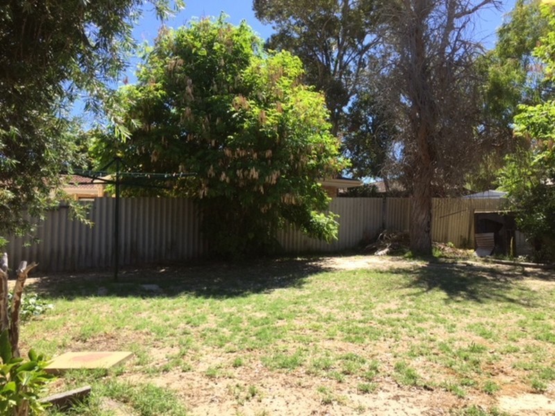 67 Sandpiper Loop, Yangebup WA 6164