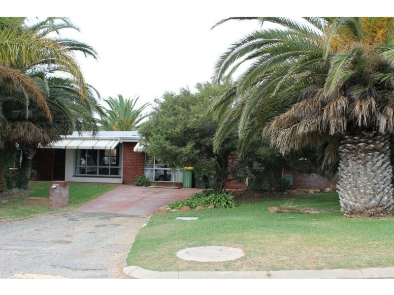 16 Scroop Way, Spearwood WA 6163