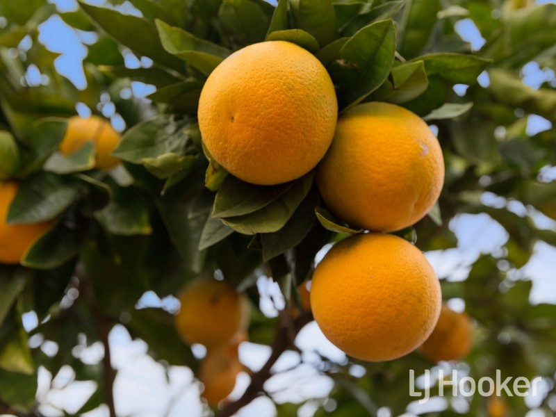 5 Merley Way, Parkwood WA 6147