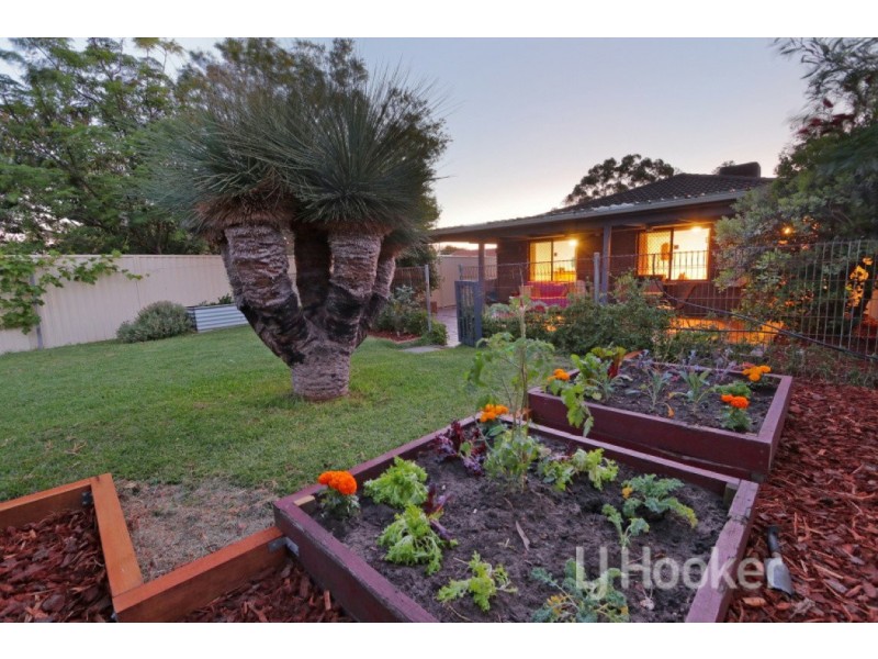 48b Bullfinch Street, Spearwood WA 6163