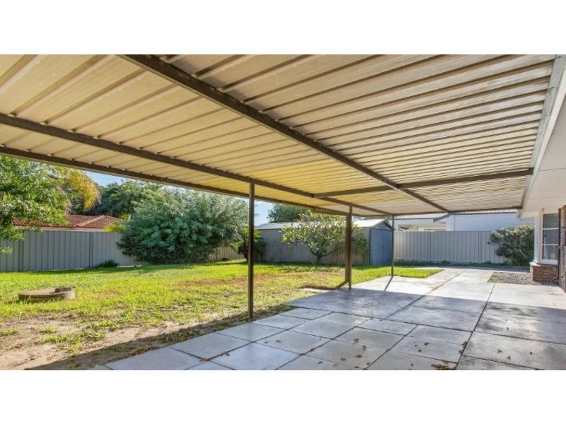 19 Marjorie Avenue, Shelley WA 6148