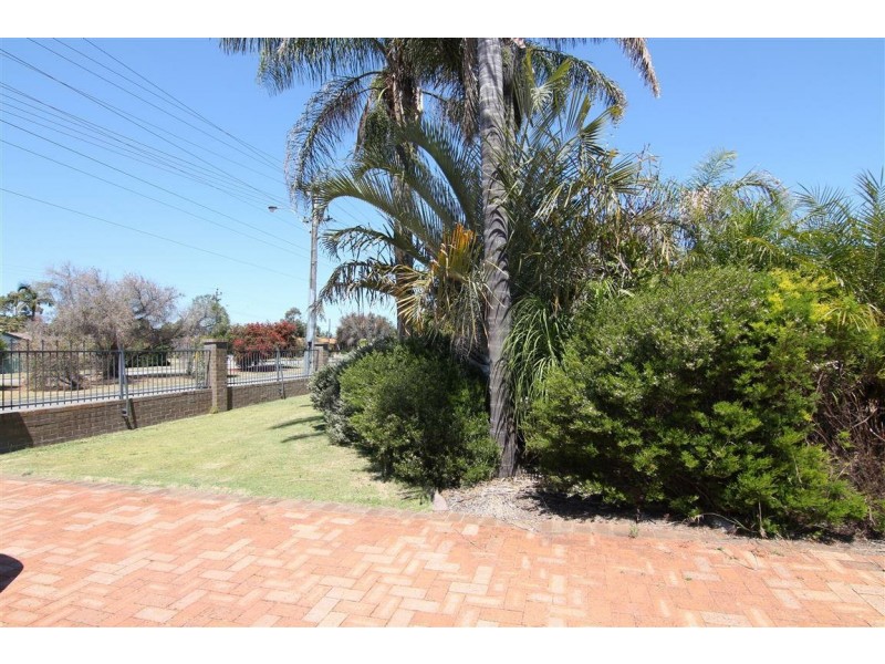 11 Elderberry Drive, Parkwood WA 6147