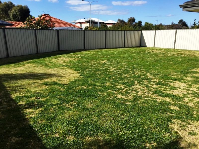 5 Caper Place, Success WA 6164