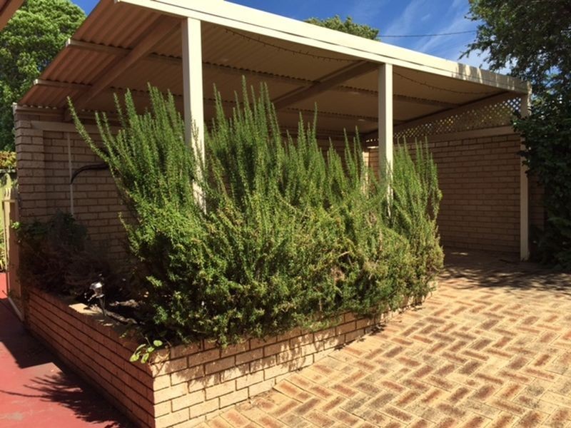 33A Mosaic Street East, Shelley WA 6148