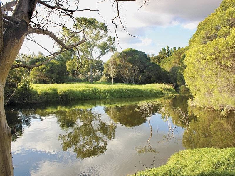 18 Swiftlet Way, Gwelup WA 6018