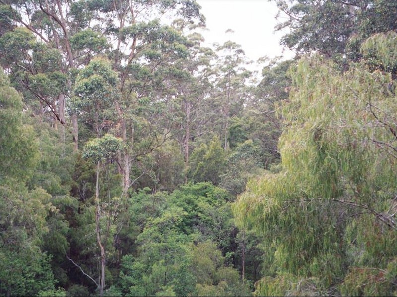 8 Coughlan Grove, Bow Bridge WA 6333