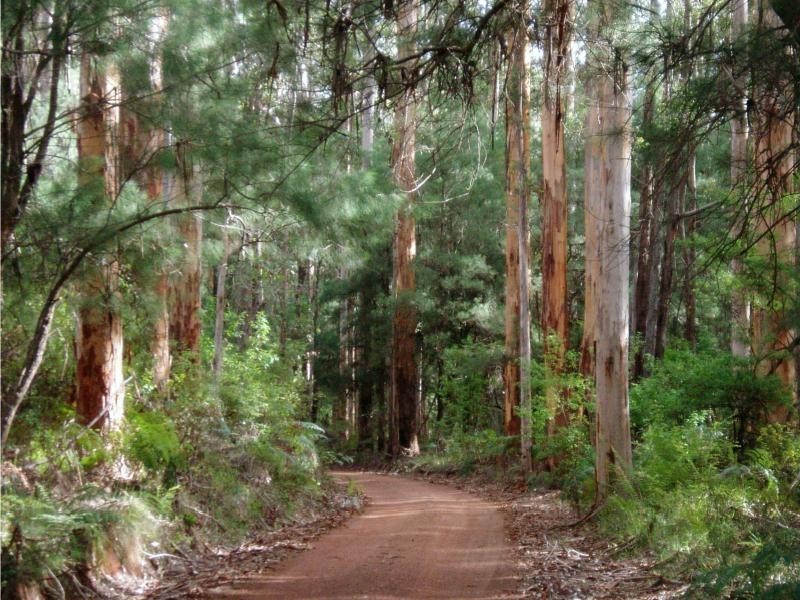 8 Coughlan Grove, Bow Bridge WA 6333