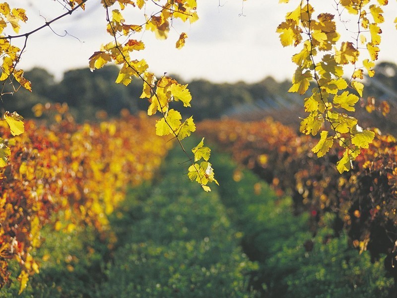 8 Coughlan Grove, Bow Bridge WA 6333