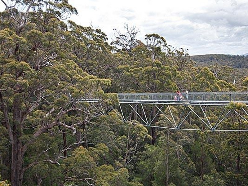 8 Coughlan Grove, Bow Bridge WA 6333