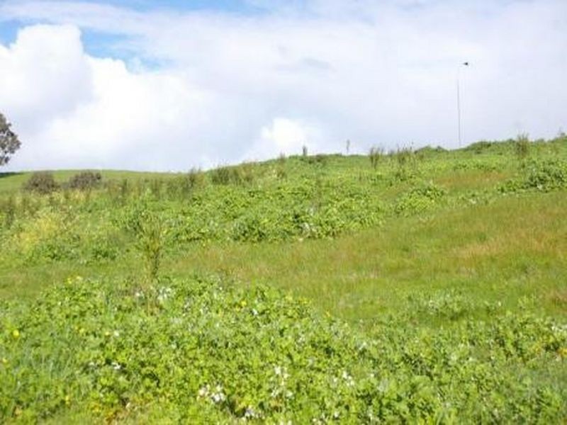 233 – 245 Diggers Green, Nannup WA 6275